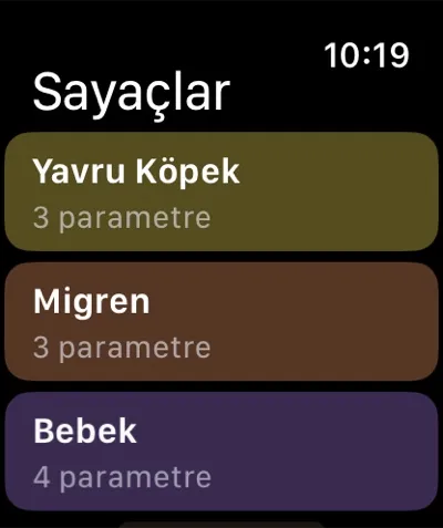 Apple Watch’ta sayaç listesi